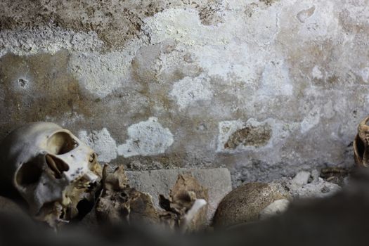Skull and bones in a Cuban Catacombe