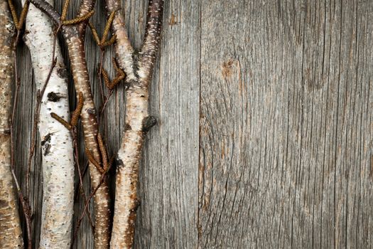 Birch tree trunks and branches on natural wood background with copy space