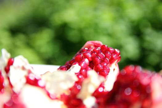 ripe pomegranate