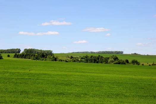 green field, hills and forest under the blue sky