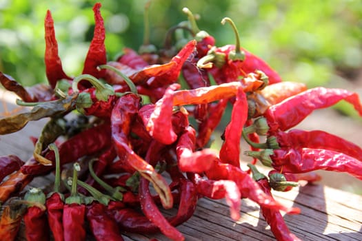 a bunch of hot peppers lying on the table