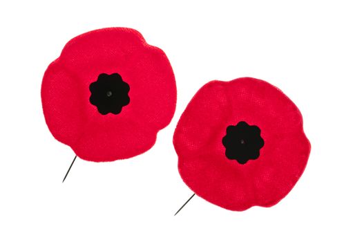 Two red poppy lapel pins for Remembrance Day