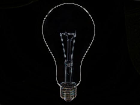 lightbulb  with white outline on black background        