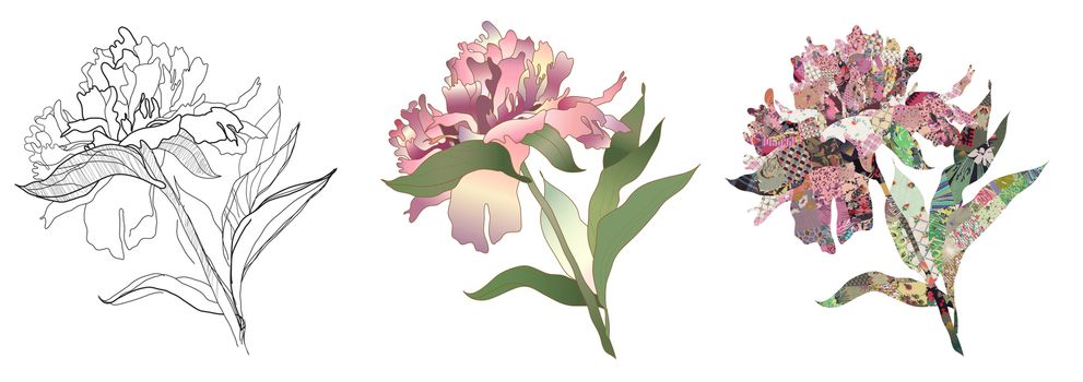 peony drawing, color and quilt set