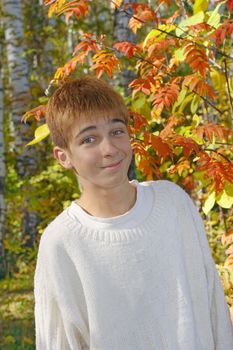 happy boy stand near the thee in autumn forest