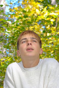 dreaming boy stand near the tree in autumn forest