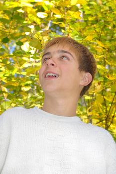 happy boy stand near the thee in autumn forest