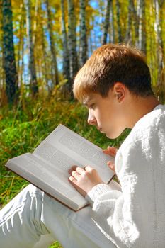 reading boy sit in autumn forest with a book