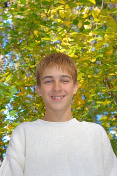 happy boy stand near the thee in autumn forest