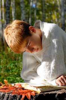 reading boy sit in autumn forest with a book