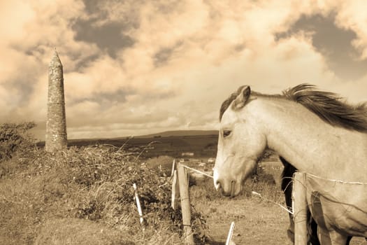 two Irish horses and ancient round tower in the beautiful Ardmore countryside of county Waterford Ireland sepia