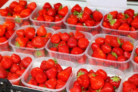 Freshly harvested strawberries at market in England