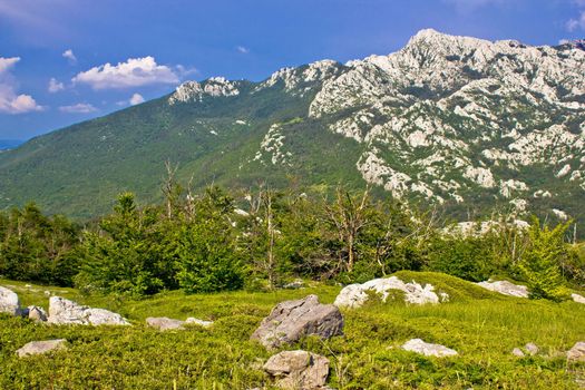 Crnopac peak nature of Velebit mountain, Dalmatia, Croatia