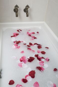 Bath water with rose petals