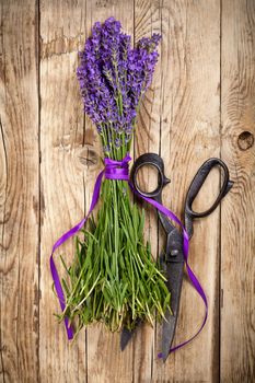 Bunch of lavender flowers with old scissors on wooden table. Top view