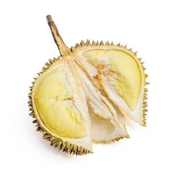 King of the fruits. Durian. Giant Tropical Fruit.