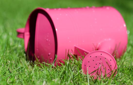 a watering can lying in the grass