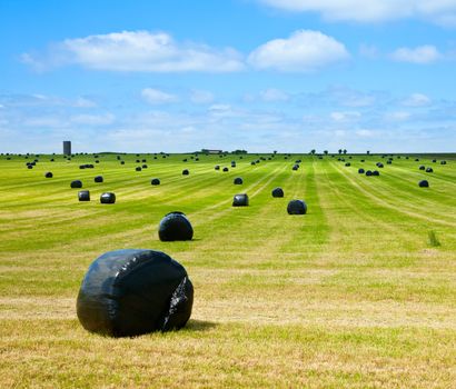 Row of plastic wrapped hay bales on a field with farm in background