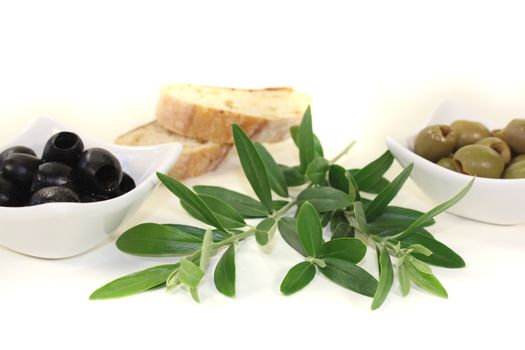 fresh olives with bread and olive bough on a light background