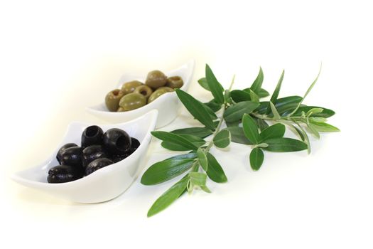 fresh olives with olive twig on a light background