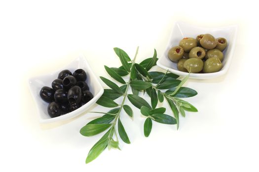 olives with olive twig on a light background