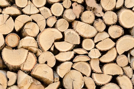 Chopped and stacked wooden logs for the fireplace