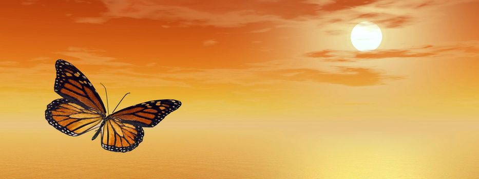 Beautiful monarch butterfly flying upon the ocean by orange sunset