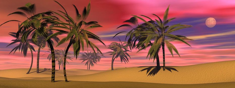 Many palm trees in the desert sand by colorful sunset with full moon