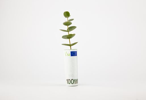 bank note and plant, currency and financial concepts