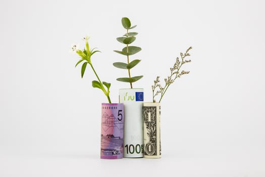 bank notes and plants, currency and financial concepts