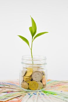 plant and coins in glass jar, currency, investment and business concepts