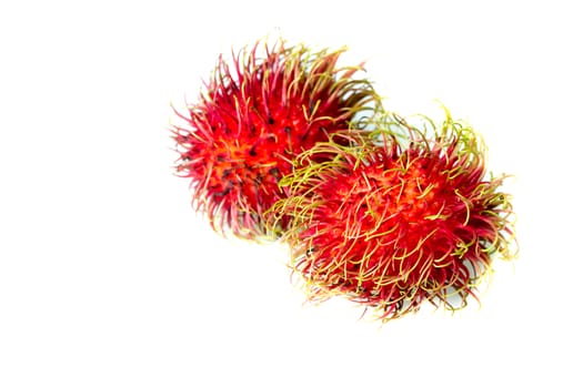 Rambutan macro isolated white background