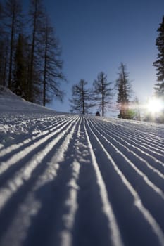 Winter road with the traces of the skies