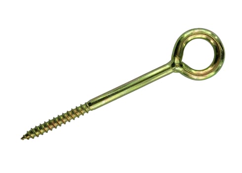 The screw made of steel with oval head