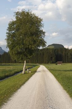 The road going directly to the horizont