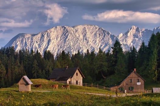 Little farm in the forest in mountains