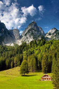 Little house in the forest in mountains