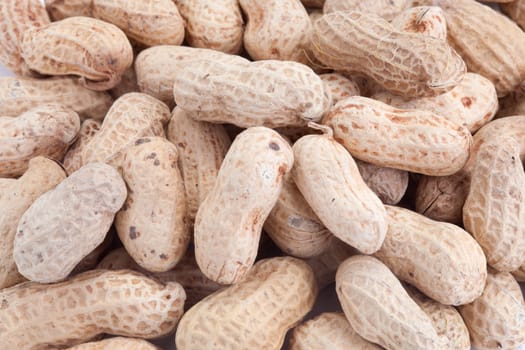 peanut on white background
