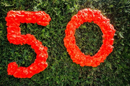 Number Fifty written on a bush