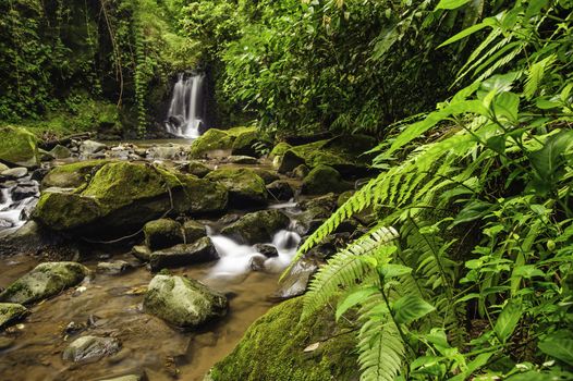Rocky mountain stream in a Costa Rica rainforest.