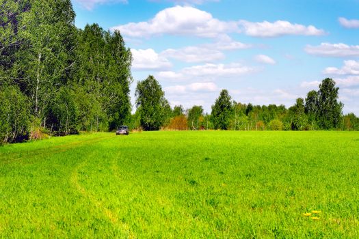 landscape with green fields and forest and the car