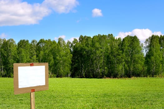 signpost on the summer meadow