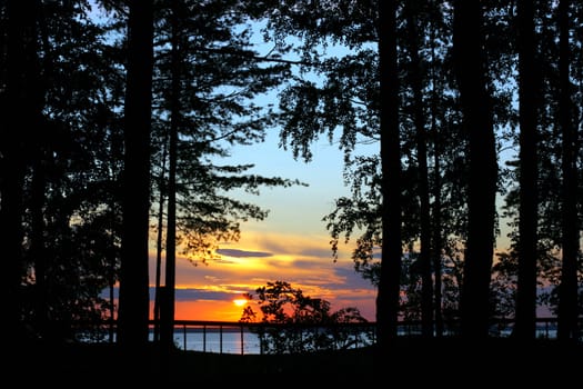 Sunset landscape in the wood