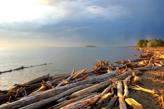 Evening sea landscape with logs in the foreground