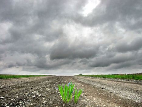 islet of fresh grass on the road