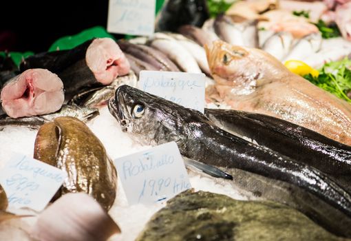 Saltwater fish in the market