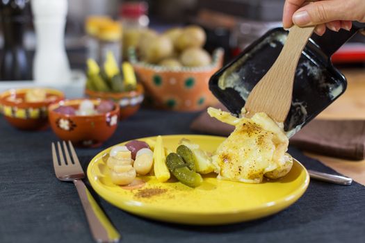 Raclette, traditional specialty of grilled yellow cheese, potatoes and pickles.