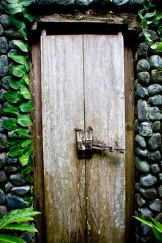Old closed weathered wooden door with a rusty latch in a beautiful natural stone wall with trailing green creepers