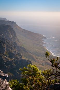 View from high mountain on ocean coastline with plants on front