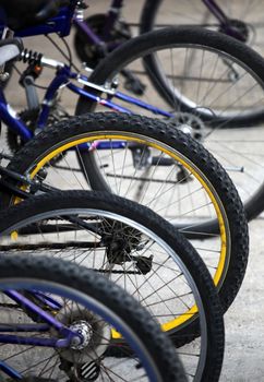Wheel detail of a group of bikes